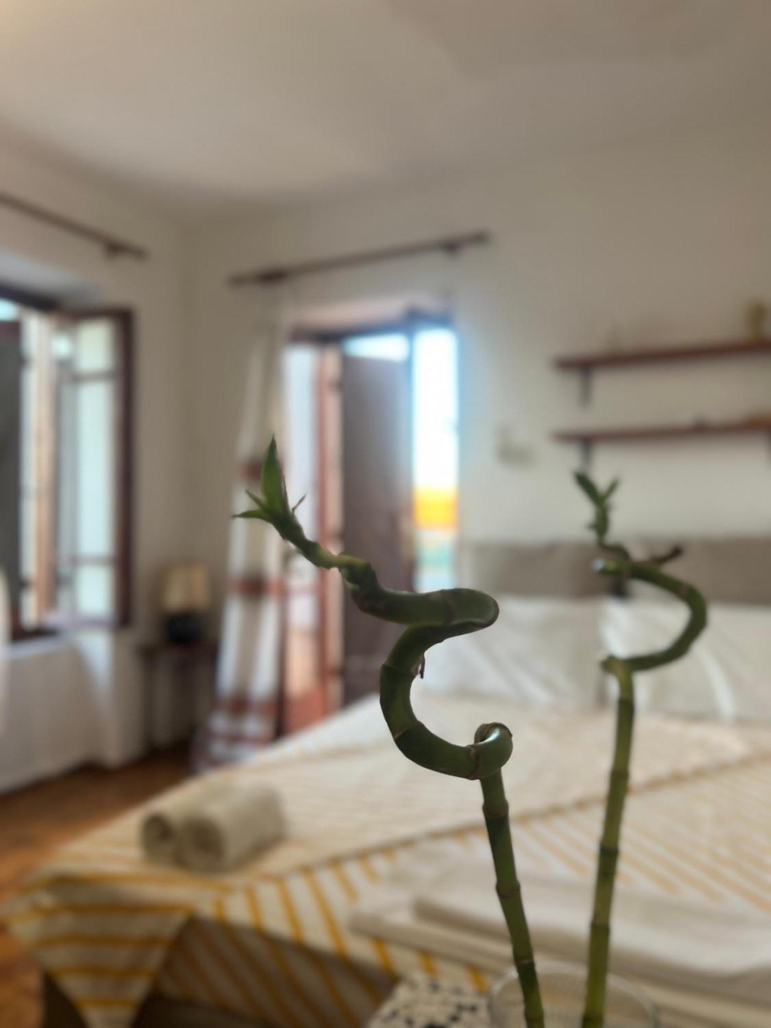 Village House Petalou Εξωτερικό φωτογραφία